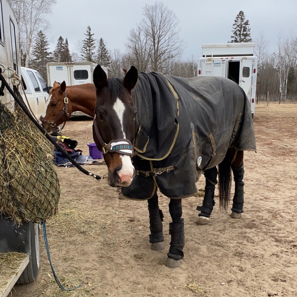 Meet your Posher, Brynn